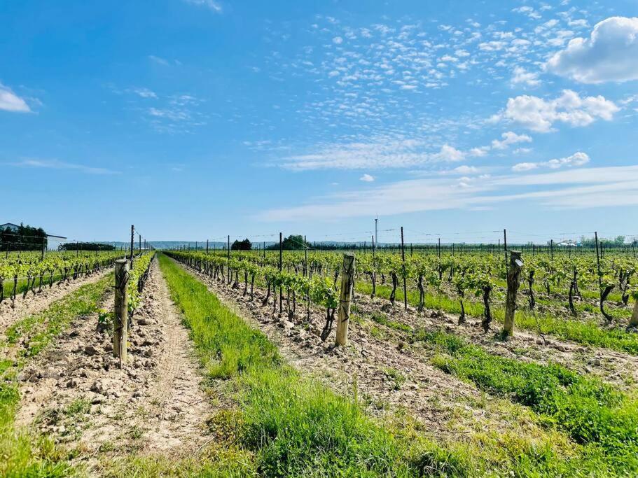 Waterfront Niagara-On-The-Lake Farmhouse On A Vineyard Villa ภายนอก รูปภาพ